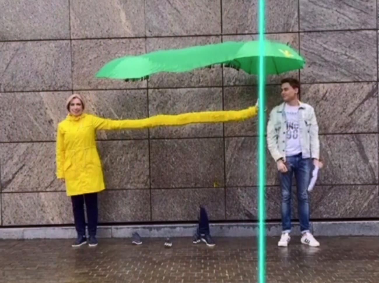 Верещук зеленый зонтик