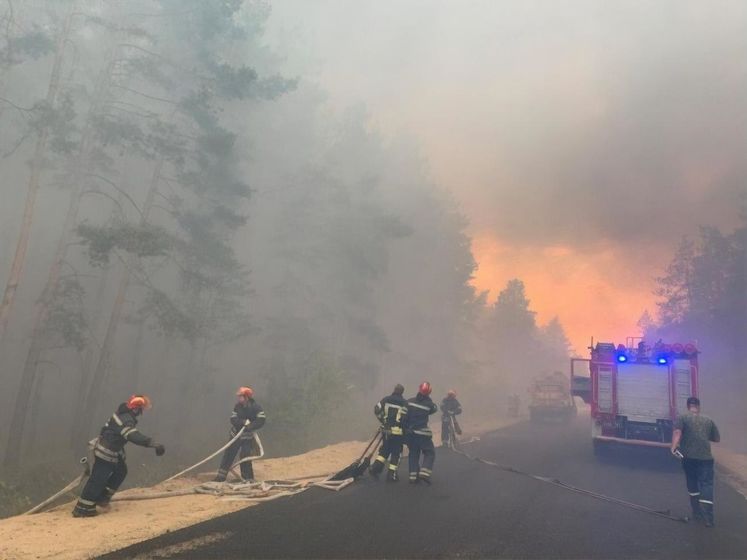 Кабмин выделит 185 млн грн пострадавшим в пожарах в Луганской области