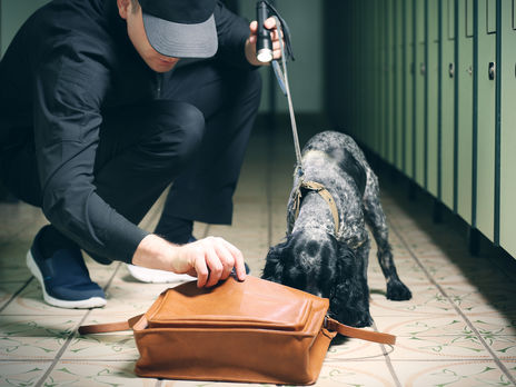 Госпогранслужба Украины пресекла попытки перемещения контрабанды на 534 млн грн