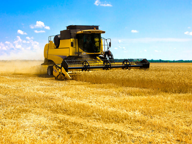 В Украине более 5 млн га государственных сельхозземель выведены в частную собственность – Госгеокадастр