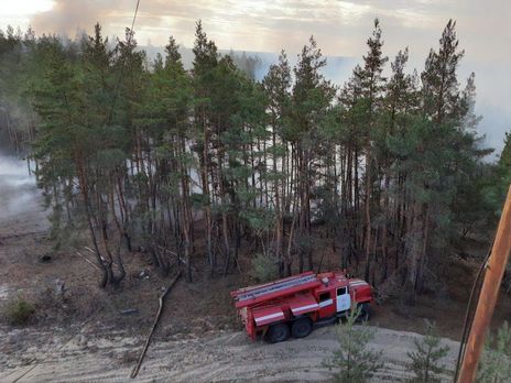Лесные пожары в Луганской области разрушили 650 домов – активист Каплин