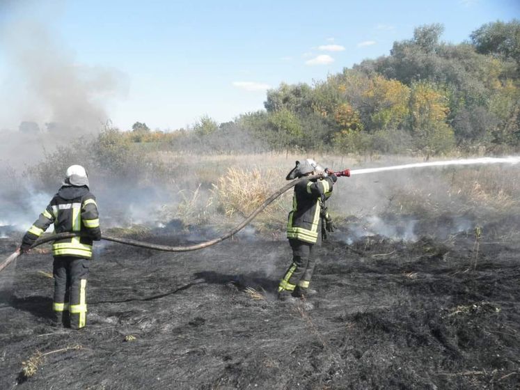 Пожежі в Луганській області. ДБР розслідує дії керівництва регіонального управління ДСНС