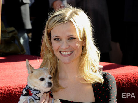 Прем'єра нової 