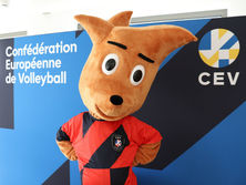 Решение приняла Европейская конфедерация волейбола