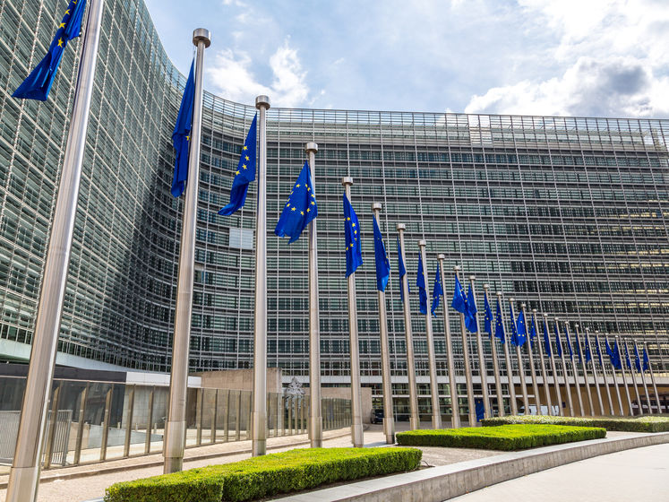 ЄС закликав Верховну Раду знайти "розумне рішення" щодо КСУ