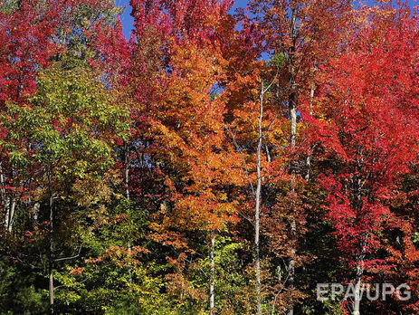 Укргидрометцентр: В Украине 2 октября воздух прогреется до +26 градусов