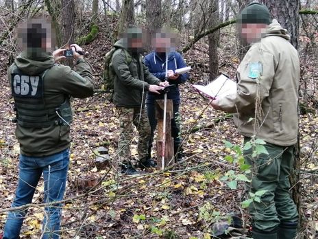 В Сумской области разоблачили чиновников на масштабной незаконной вырубке леса