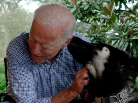 Байден хоче відродити традицію домашніх вихованців у Білому домі. Трамп був першим за 100 років президентом США, у кого їх не було