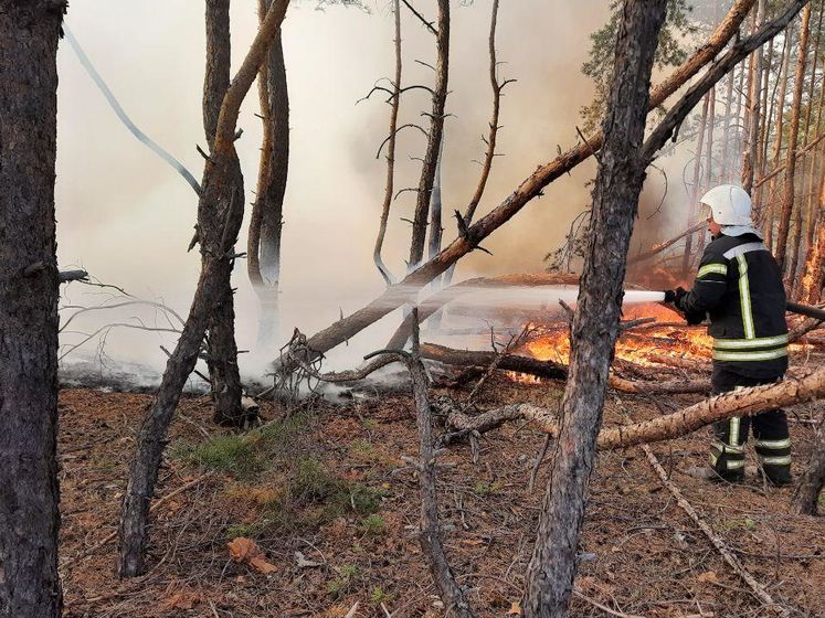 Пожары в Луганской области не могли потушить из-за украденного топлива для машин спасателей – ГБР