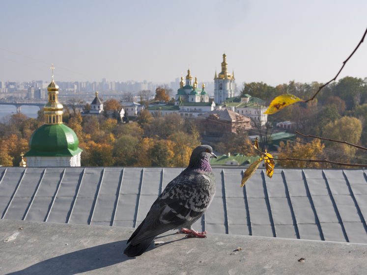 Киев попал в двадцатку мегаполисов с самым грязным воздухом