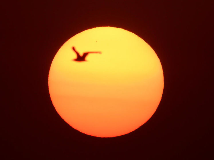Опубліковано перше детальне зображення плями на Сонці