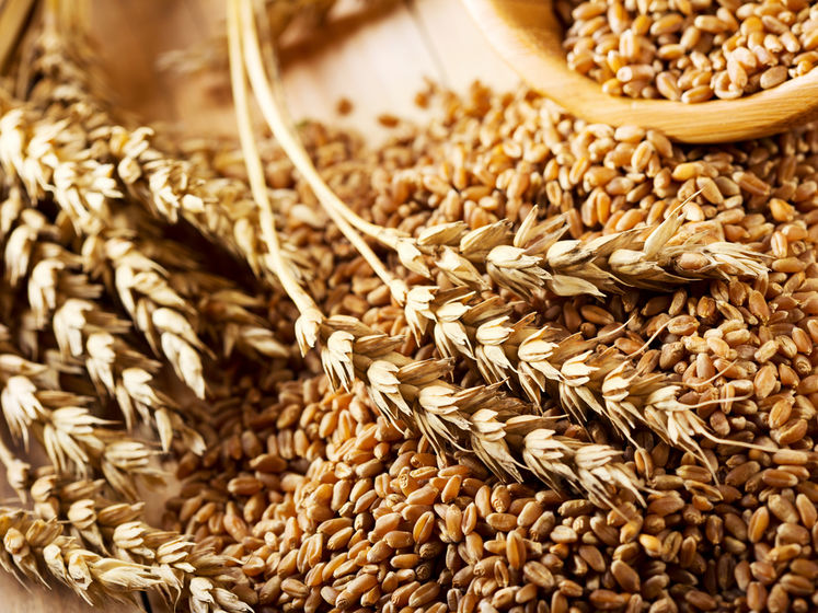 В Україні зібраний урожай зернових перевищує потреби внутрішнього ринку втричі – Мінекономрозвитку