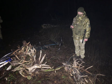 У Чорнобильській зоні затримали людей, які збирали роги диких тварин – Держприкордонслужба