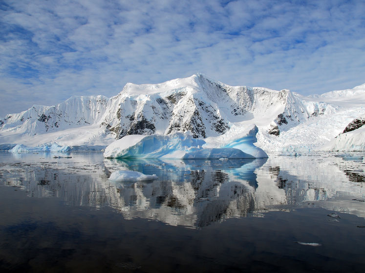 В Антарктиде нашли коронавирус. Это был последний континент, куда не добралась болезнь
