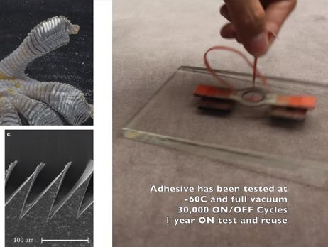 NASA запустит в космос робота-