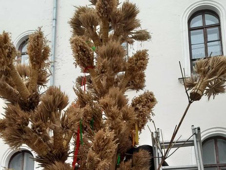 У Львові виготовили символ Різдва – дідух. Фоторепортаж