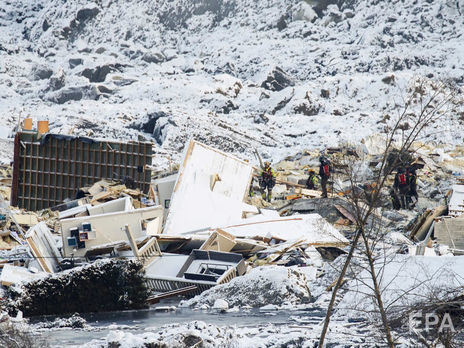 В Норвегии из-под завалов на месте оползня спасли собаку. Шансов найти выживших людей больше нет