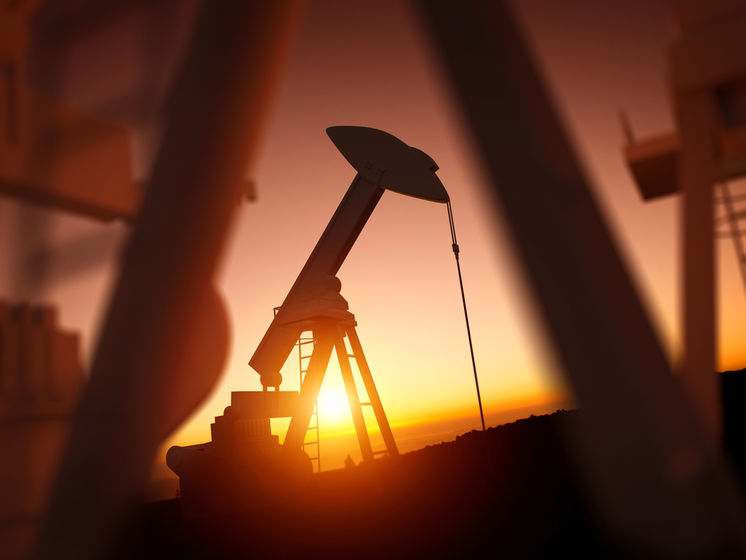Країни ОПЕК+ погодили обсяги видобутку нафти на лютий і березень