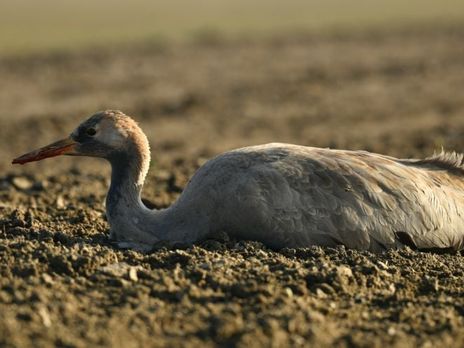 В заповеднике 