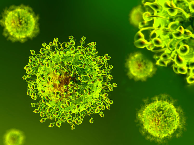 У ВООЗ не впевнені, що коронавірус зародився в Ухані