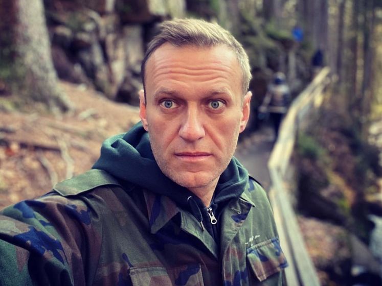 Германия передала России протоколы допроса Навального