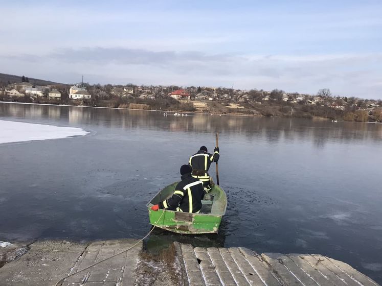 В Одеській області врятували лебедів, які примерзли до льоду
