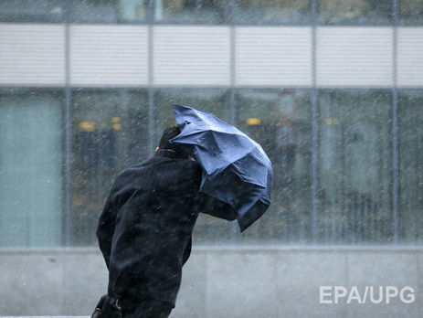 В Днепре в результате непогоды рухнуло 30 деревьев