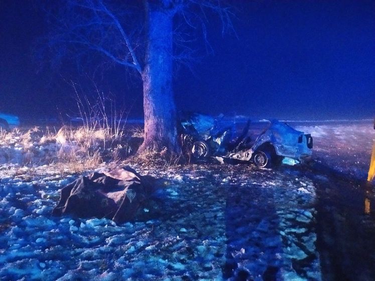 У Житомирській області автомобіль влетів у дерево, троє людей загинули