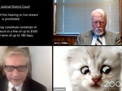 Адвокат появился на онлайн-заседании в образе кота 