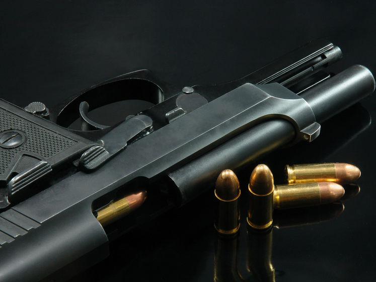 "Слуга народу" вирішила підтримати законопроєкт про обіг зброї в першому читанні – Качура