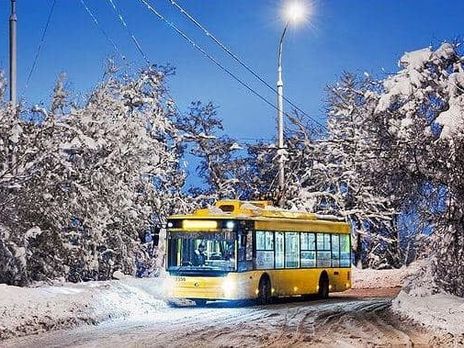 Вставные челюсти, пять кабачков и пустой пакет из 