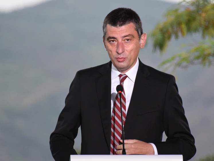 Прем'єр-міністр Грузії Гахарія пішов у відставку через арешт опозиціонера