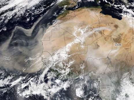 Ежегодно сильные сезонные ветры выдувают из пустыни Сахара более 180 млн тонн пыли