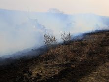 На Донбассе боевики обстреляли наблюдательный пост ВСУ из гранатомета, погиб украинский военный, еще один ранен