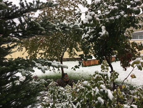 В Винницкой области выпал первый снег. Видео