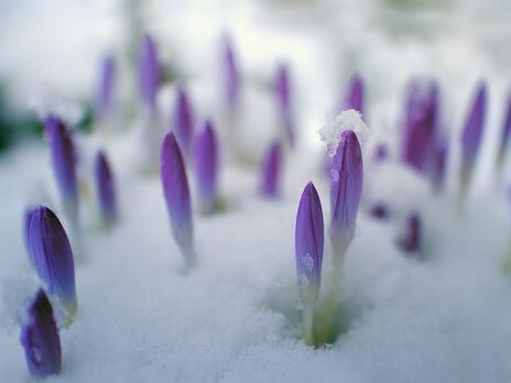 8 березня у більшості областей України пройде мокрий сніг – синоптики
