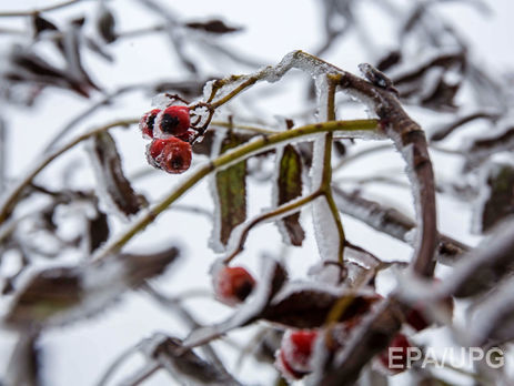 Укргидрометцентр: Зима в Украине будет относительно теплой