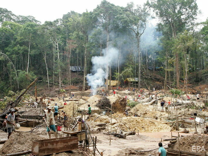 Две трети тропических лесов уничтожены или пришли в упадок – Rainforest Foundation Norway