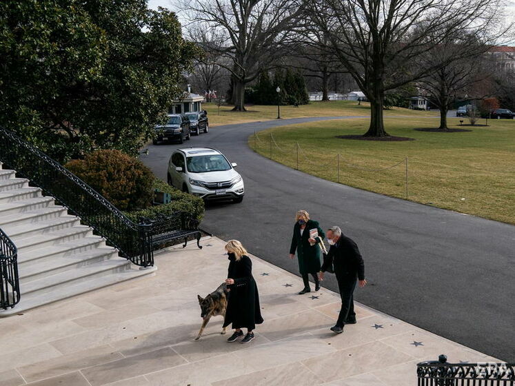 Собак Байдена вывезли из Белого дома. Одна из них покусала охранника