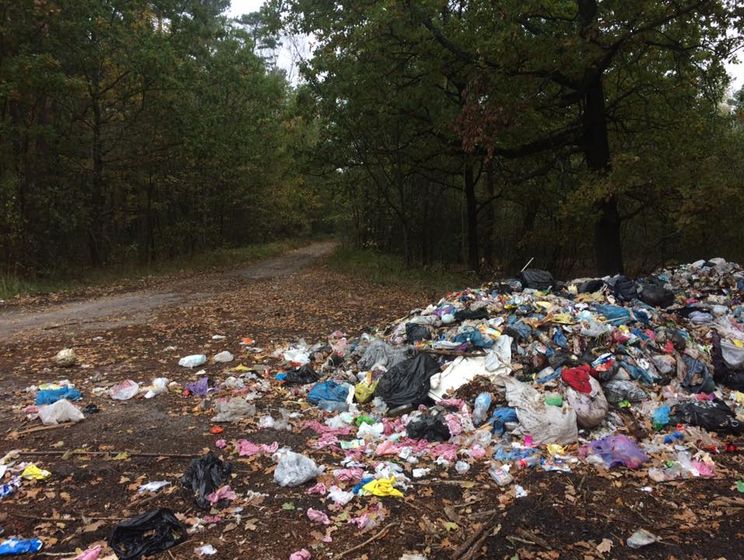 Волонтер Шараевский сообщил, что на Волыни в лесу появилась свалка львовского мусора