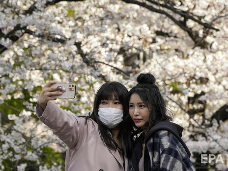 У Японії рекордно рано зацвіла сакура. Фоторепортаж