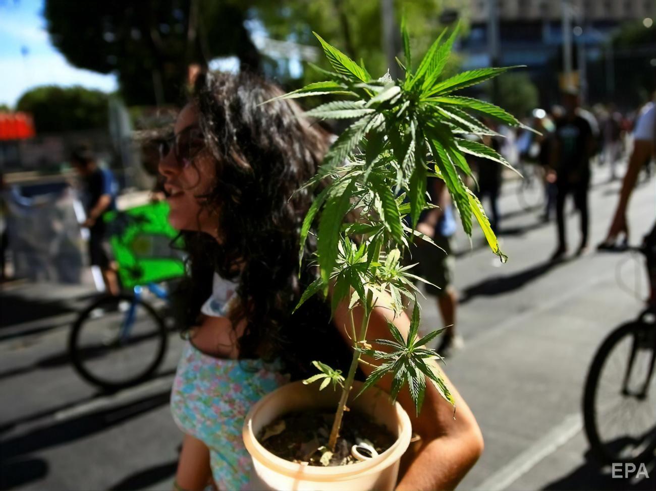 Звезды выступающие за легализацию марихуаны купить легальную марихуану