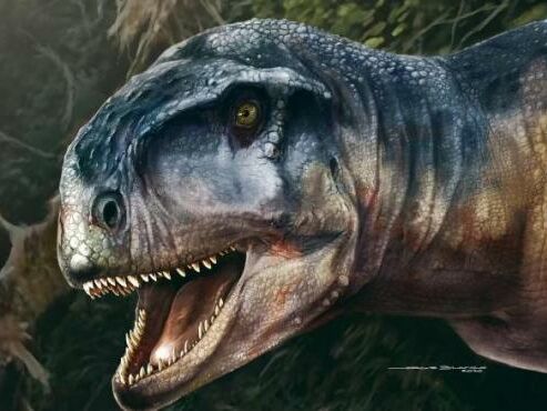 В Аргентине обнаружили новый вид хищных динозавров. Рептилии обитали на Земле около 80 млн лет назад