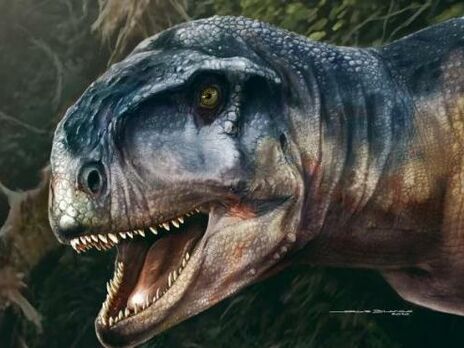 В Аргентині виявили новий вид хижих динозаврів. Рептилії мешкали на Землі майже 80 млн років тому