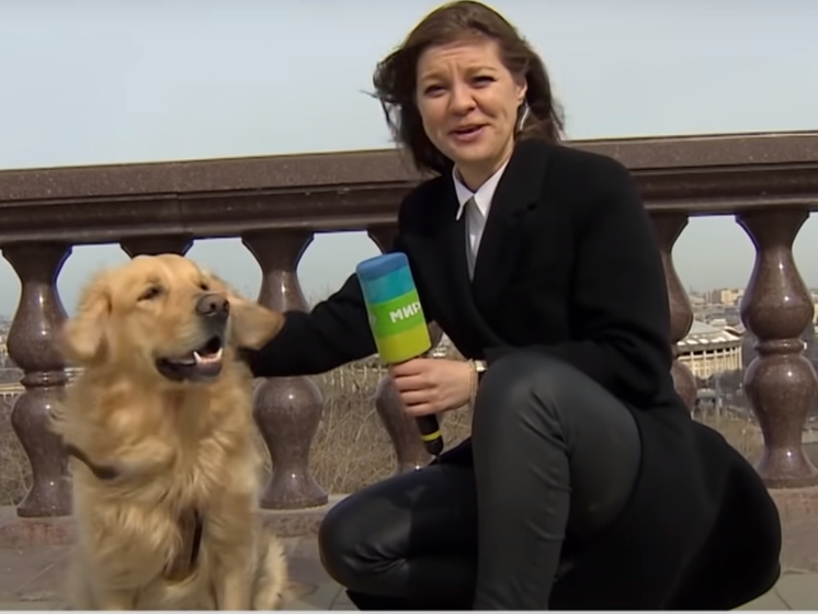 Собака вырвала микрофон из рук журналистки российского телеканала "Мир 24". Видео