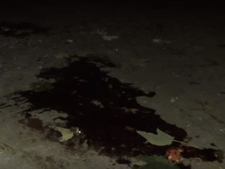 В сети опубликовали кадры с места убийства боевика Моторолы