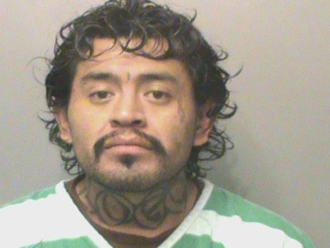 В США пьяный мужчина, убегая от полиции, разделся и покусал дерево