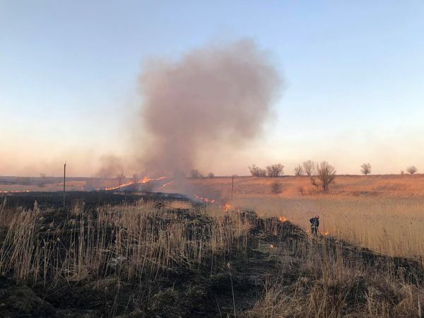У Львівській області через підпал сухої трави згоріло три автобуси
