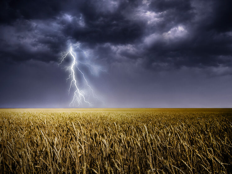 В Ровенской области молния поразила сразу двух человек – медики
