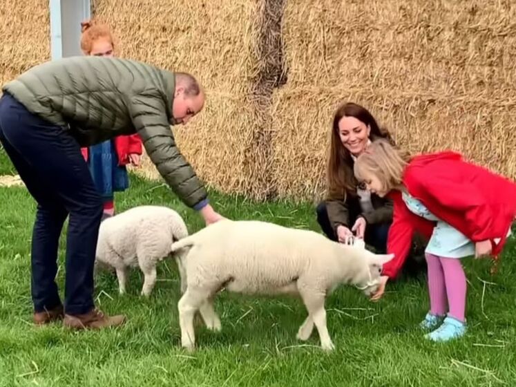 Принц Вільям із дружиною під час відвідування ферми покаталися на тракторі й погралися з вівцями. Відео